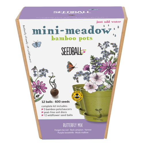 Mini-Meadow Bamboo Pots - Butterfly Mix