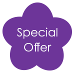 Special Offer